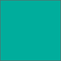�G�L�T�C�g���[��