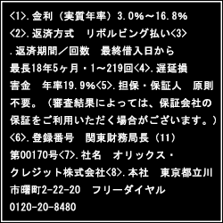 オリックスVIPローンカード